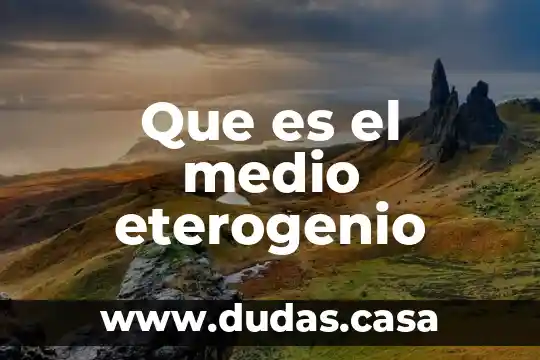 Que es el medio eterogenio