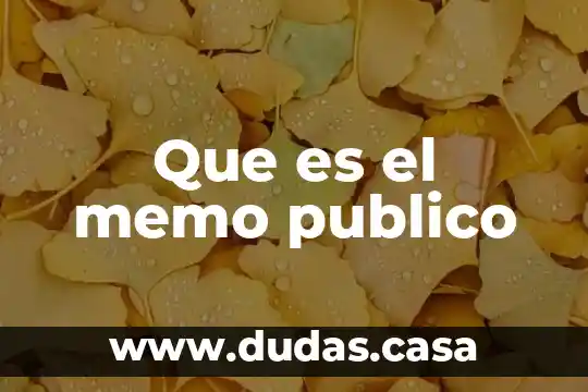 Que es el memo publico