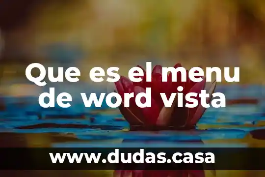 Que es el menu de word vista