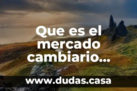 Que es el mercado cambiario informal