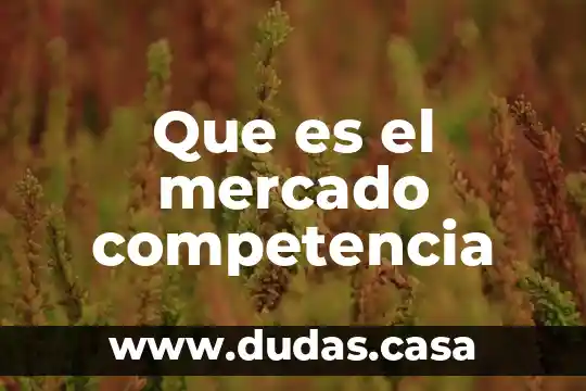 Que es el mercado competencia