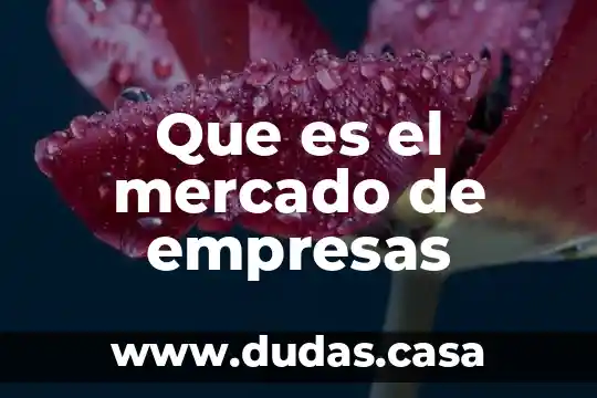 Que es el mercado de empresas