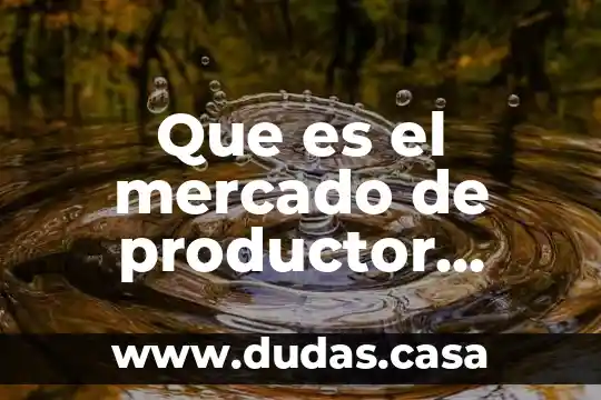 Que es el mercado de productor industrial