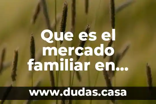 Que es el mercado familiar en horario
