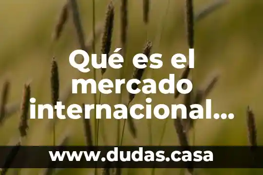 Qué es el mercado internacional ejemplos de empresas