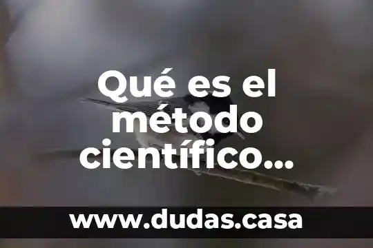 Qué es el método científico transporte Voguel