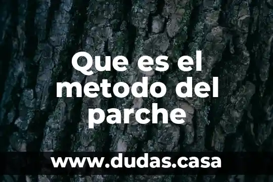 Que es el metodo del parche