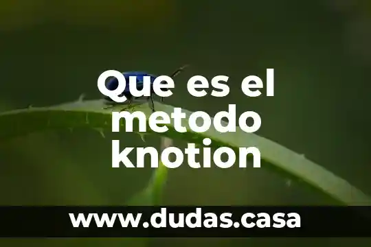 Que es el metodo knotion