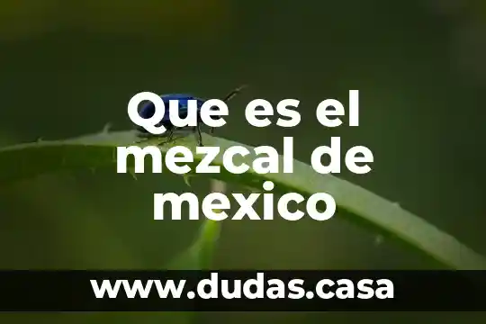 Que es el mezcal de mexico