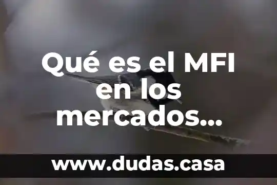 Qué es el MFI en los mercados financieros 15 Qué es el MFI en los mercados financieros