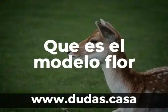 Que es el modelo flor