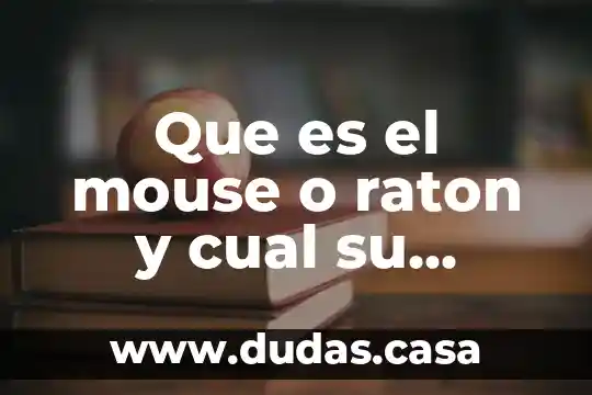 Que es el mouse o raton y cual su funcion