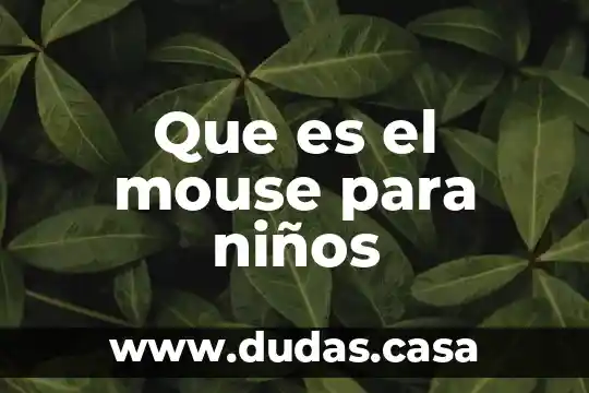 Que es el mouse para niños