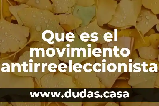 Que es el movimiento antirreeleccionista
