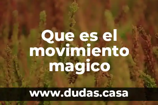 Que es el movimiento magico