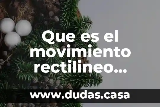 Que es el movimiento rectilineo trackid sp-006
