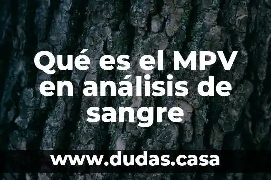 Qué es el MPV en análisis de sangre
