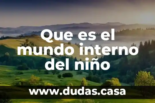 Que es el mundo interno del niño