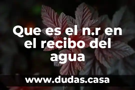 Que es el n.r en el recibo del agua