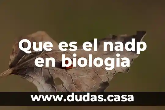 Que es el nadp en biologia
