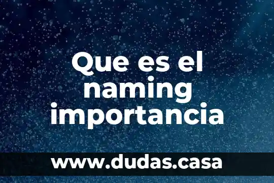 Que es el naming importancia