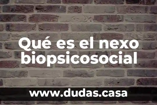 Qué es el nexo biopsicosocial