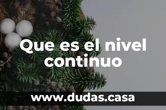 Que es el nivel continuo