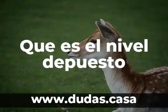 Que es el nivel depuesto