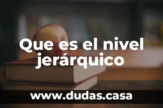 Que es el nivel jerárquico