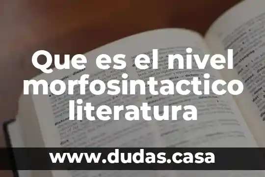 Que es el nivel morfosintactico literatura