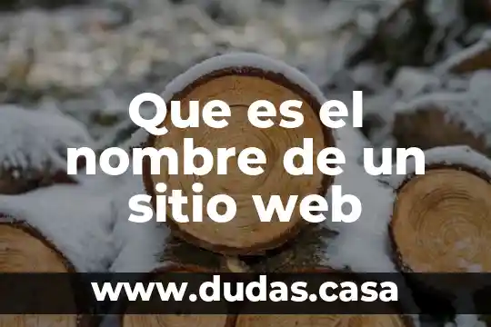 Que es el nombre de un sitio web