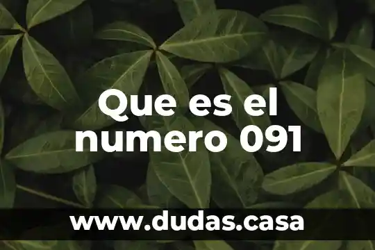 Que es el numero 091