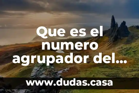 Que es el numero agrupador del sat