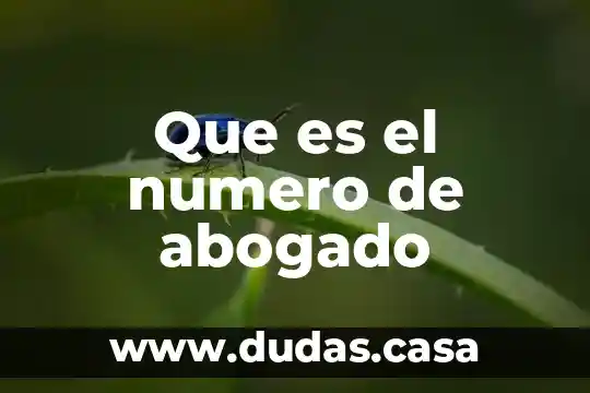 Que es el numero de abogado
