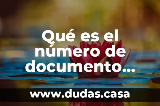 Qué es el número de documento para solicitud de empleo