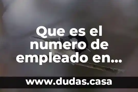 Que es el numero de empleado en mexico