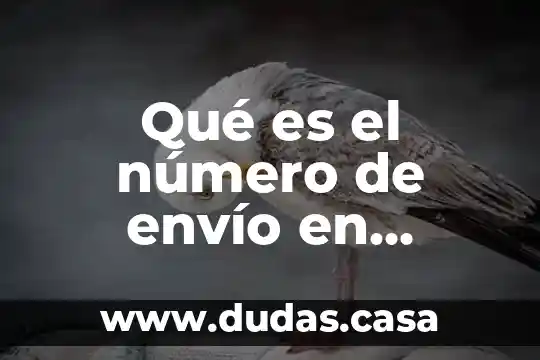 Qué es el número de envío en correos