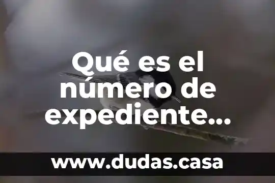 Qué es el número de expediente inmueble
