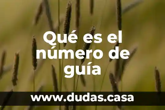 Qué es el número de guía