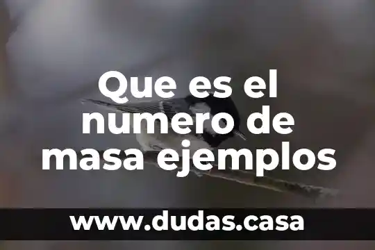 Que es el numero de masa ejemplos