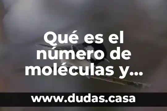 Qué es el número de moléculas y cómo se calcula