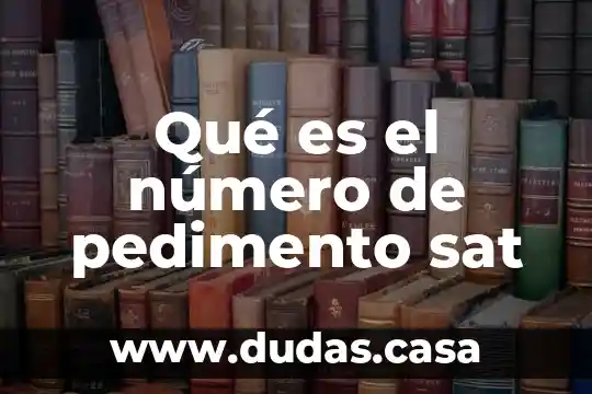 Qué es el número de pedimento sat
