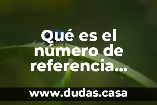 Qué es el número de referencia bancaria