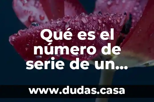Qué es el número de serie de un carro