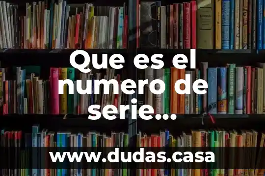 Que es el numero de serie engomado