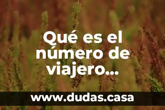 Qué es el número de viajero frecuente en Gmail