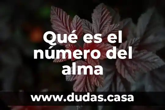 Qué es el número del alma
