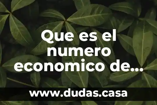 Que es el numero economico de un carro