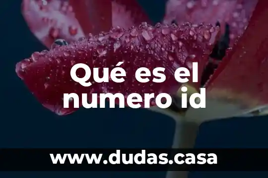 Qué es el numero id