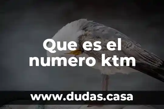 Que es el numero ktm